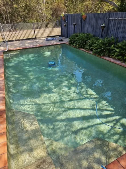 Clean pool with dappled afternoon shadows