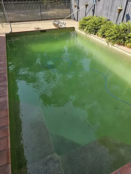 Green pool recovery